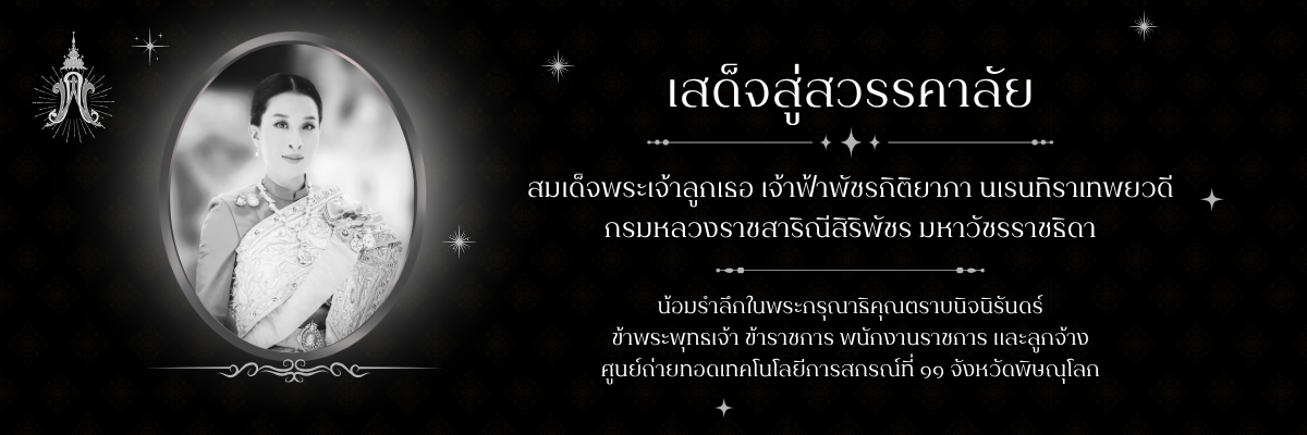 สมเด็จพระเจ้าลูกเธอ เจ้าฟ้าพัชรกิติยาภา
