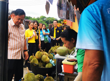 🥇"พัฒนาศักยภาพการผลิตยางก้อนถ้วยเกรดพรีเมี่ยมสู่ตลาดอย่างยั่งยืน" 💪 สร้างรายได้ให้เกษตรกรผู้ปลูกยางพาราสามารถขายยางพาราได้ในราคาที่สูงกว่าท้องตลาด 🚩 ณ สหกรณ์การเกษตรนครไทย จำกัด อ.นครไทย จ.พิษณุโลก ... พารามิเตอร์รูปภาพ 12