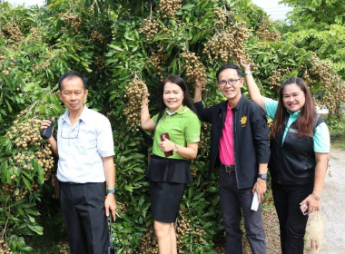 👫 Work Life Balance คณะที่ 3 ประจำปีงบประมาณ พ.ศ. 2568 👫 ... พารามิเตอร์รูปภาพ 30