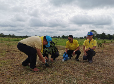 🧑‍🌾 อาสาสมัครสหกรณ์ ทำดีเพื่อพ่อ ... พารามิเตอร์รูปภาพ 17