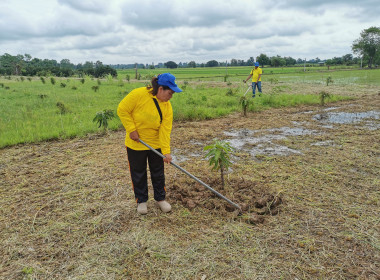 🧑‍🌾 อาสาสมัครสหกรณ์ ทำดีเพื่อพ่อ ... พารามิเตอร์รูปภาพ 27