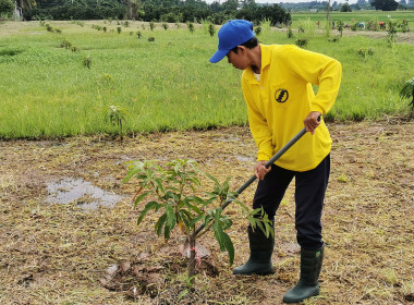 🧑‍🌾 อาสาสมัครสหกรณ์ ทำดีเพื่อพ่อ ... พารามิเตอร์รูปภาพ 25