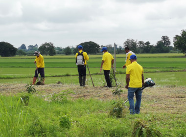 🧑‍🌾 อาสาสมัครสหกรณ์ ทำดีเพื่อพ่อ ... พารามิเตอร์รูปภาพ 29