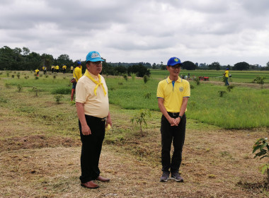 🧑‍🌾 อาสาสมัครสหกรณ์ ทำดีเพื่อพ่อ ... พารามิเตอร์รูปภาพ 18