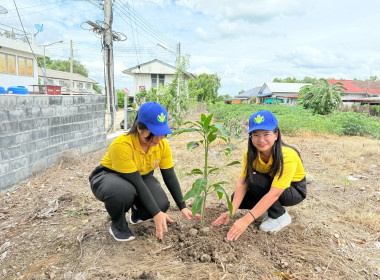 🫔จัดโครงการอาสาสมัครสหกรณ์ ณ เมืองมะขามหวาน🗼 ⛵️ณ ... พารามิเตอร์รูปภาพ 13