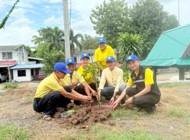 🫔จัดโครงการอาสาสมัครสหกรณ์ ณ เมืองมะขามหวาน🗼 ⛵️ณ ... พารามิเตอร์รูปภาพ 14