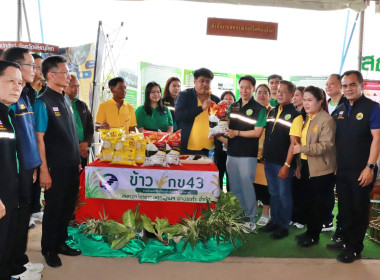 รัฐมนตรีว่าการกระทรวงเกษตรและสหกรณ์ ... พารามิเตอร์รูปภาพ 15