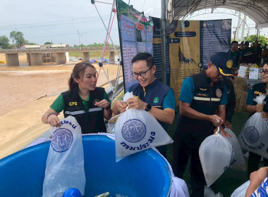 รัฐมนตรีว่าการกระทรวงเกษตรและสหกรณ์ ... พารามิเตอร์รูปภาพ 18