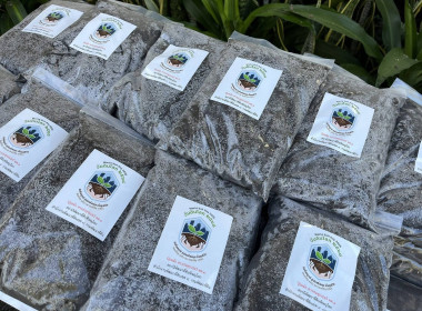 🌋วันดินโลก (World Soil Day) ประจำปี 2568✨ ... พารามิเตอร์รูปภาพ 12