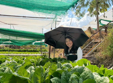 🫆ลงพื้นที่สหกรณ์การเกษตรเขาค้อพัฒนา จำกัด ... พารามิเตอร์รูปภาพ 17