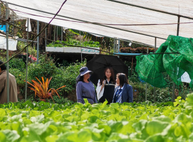 🫆ลงพื้นที่สหกรณ์การเกษตรเขาค้อพัฒนา จำกัด ... พารามิเตอร์รูปภาพ 15