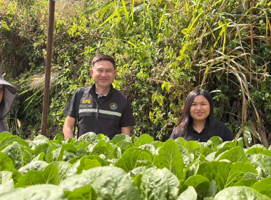 🫆ลงพื้นที่สหกรณ์การเกษตรเขาค้อพัฒนา จำกัด ... พารามิเตอร์รูปภาพ 19