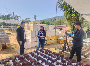 🥒ลงพื้นที่ดำเนินการเก็บข้อมูลในการจัดทำสื่อ VTR ... พารามิเตอร์รูปภาพ 22