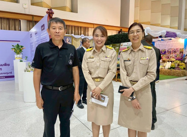 👥เตรียมความพร้อมการจัดนิทรรศการ และงานโดยภาพรวม ... พารามิเตอร์รูปภาพ 10