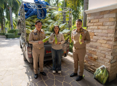 🚂 ... พารามิเตอร์รูปภาพ 41