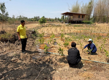 ❄️ติดต่อประสานงานเรื่องเตรียมความพร้อมการจัดทำ 📹 VTR ... พารามิเตอร์รูปภาพ 12