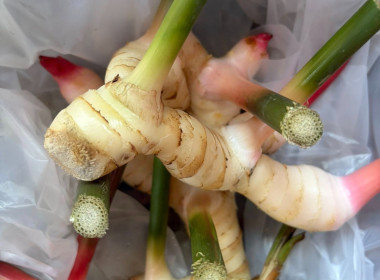 ❄️ติดต่อประสานงานเรื่องเตรียมความพร้อมการจัดทำ 📹 VTR ... พารามิเตอร์รูปภาพ 24