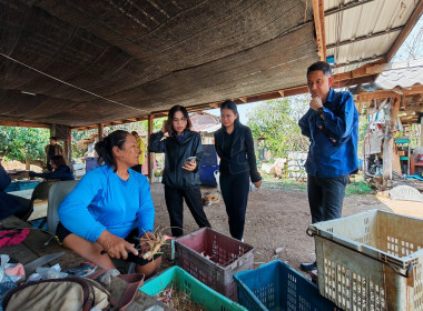 ❄️ติดต่อประสานงานเรื่องเตรียมความพร้อมการจัดทำ 📹 VTR ... พารามิเตอร์รูปภาพ 11