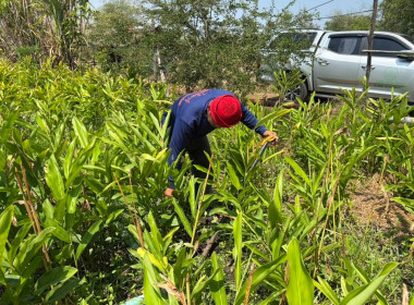 ❄️ติดต่อประสานงานเรื่องเตรียมความพร้อมการจัดทำ 📹 VTR ... พารามิเตอร์รูปภาพ 21