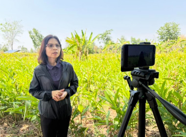 ❄️ติดต่อประสานงานเรื่องเตรียมความพร้อมการจัดทำ 📹 VTR ... พารามิเตอร์รูปภาพ 9