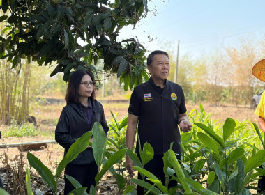 ❄️ติดต่อประสานงานเรื่องเตรียมความพร้อมการจัดทำ 📹 VTR ... พารามิเตอร์รูปภาพ 1