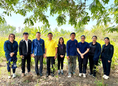 ❄️ติดต่อประสานงานเรื่องเตรียมความพร้อมการจัดทำ 📹 VTR ... พารามิเตอร์รูปภาพ 27