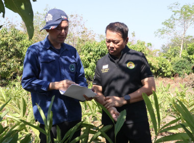 ❄️ติดต่อประสานงานเรื่องเตรียมความพร้อมการจัดทำ 📹 VTR ... พารามิเตอร์รูปภาพ 4