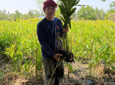 ❄️ติดต่อประสานงานเรื่องเตรียมความพร้อมการจัดทำ 📹 VTR ... พารามิเตอร์รูปภาพ 22