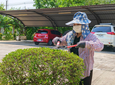 🐸ดำเนินกิจกรรมการเสริมสร้างสมดุลชีวิตคนทำงาน ประจำปี 2569 ... พารามิเตอร์รูปภาพ 5