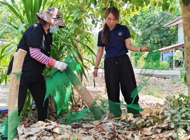 🐸ดำเนินกิจกรรมการเสริมสร้างสมดุลชีวิตคนทำงาน ประจำปี 2569 ... พารามิเตอร์รูปภาพ 1
