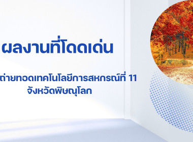 รวมผลงาน ศส.11 พารามิเตอร์รูปภาพ 1