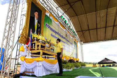🍄เข้าร่วมกิจกรรมปลูกต้นไม้เฉลิมพระเกียรติพระบาทสมเด็จพระเจ้าอยู่หัว เนื่องในโอกาสวันเฉลิม พระชนมพรรษา 28 กรกฎาคม 2569 จังหวัดพิษณุโลก 🌷ณ บริเวณทุ่งโสกา ตำบลท่าโพธิ์ อำเภอเมืองพิษณุโลก จังหวัดพิษณุโลก ... พารามิเตอร์รูปภาพ 1
