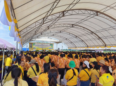 🍄เข้าร่วมกิจกรรมปลูกต้นไม้เฉลิมพระเกียรติพระบาทสมเด็จพระเจ้าอยู่หัว เนื่องในโอกาสวันเฉลิม พระชนมพรรษา 28 กรกฎาคม 2569 จังหวัดพิษณุโลก 🌷ณ บริเวณทุ่งโสกา ตำบลท่าโพธิ์ อำเภอเมืองพิษณุโลก จังหวัดพิษณุโลก ... พารามิเตอร์รูปภาพ 14