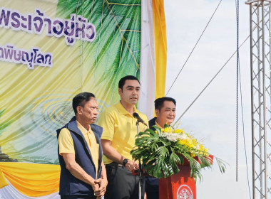 🍄เข้าร่วมกิจกรรมปลูกต้นไม้เฉลิมพระเกียรติพระบาทสมเด็จพระเจ้าอยู่หัว เนื่องในโอกาสวันเฉลิม พระชนมพรรษา 28 กรกฎาคม 2569 จังหวัดพิษณุโลก 🌷ณ บริเวณทุ่งโสกา ตำบลท่าโพธิ์ อำเภอเมืองพิษณุโลก จังหวัดพิษณุโลก ... พารามิเตอร์รูปภาพ 1