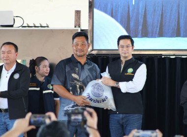🦀ศูนย์ฯ11 ... พารามิเตอร์รูปภาพ 40