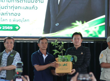 🦀ศูนย์ฯ11 ... พารามิเตอร์รูปภาพ 33